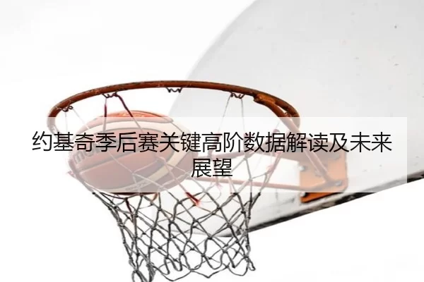 约基奇季后赛关键高阶数据解读及未来展望